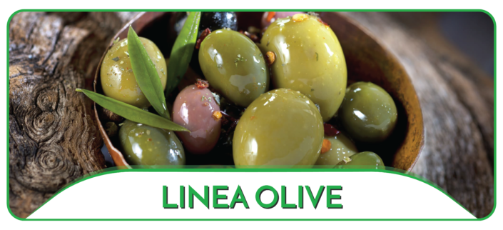 linea olive